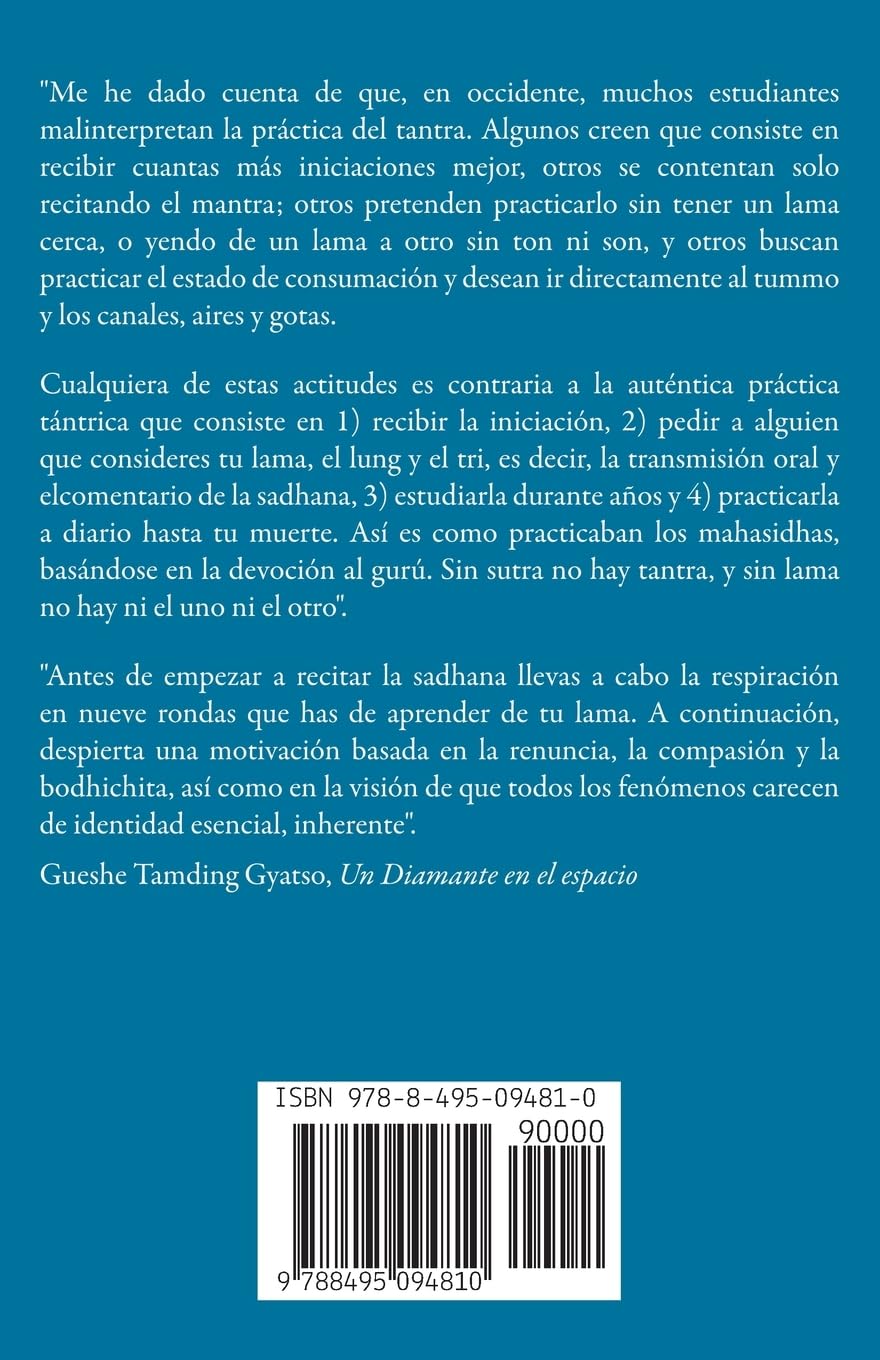 Un diamante en el espacio : Comentario al Tantra de las cinco deidades de Heruka Chakrasamvara (SIN COLECCION)