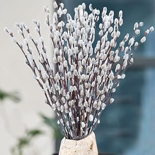 Oning 30 Stems Preserved Dried Pussywillow Branches White Flowers 16-17" Real Snow Willow for Easter Wedding Vase Fireplace Decor