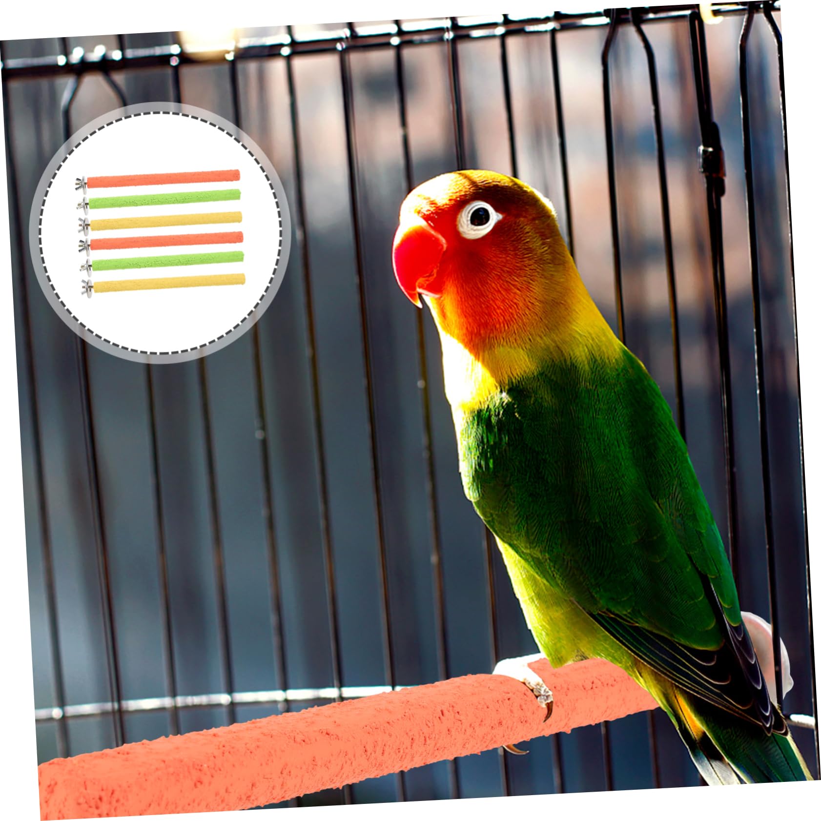 Amazon | Parliky 6個 鳥止まり木スタンド オウム止まり木スタンド 足