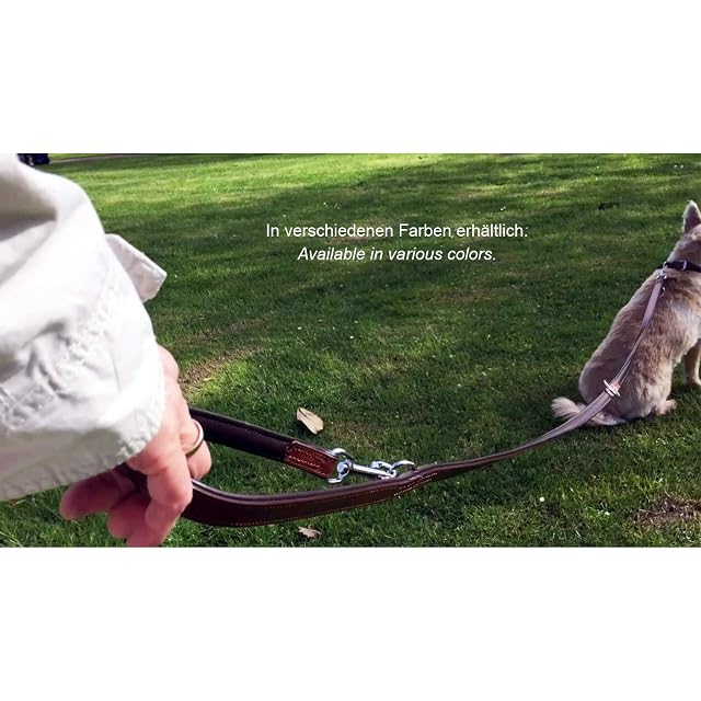 Foto 5 de 8 de Schnüffelfreunde Correa para Perro de Cuero