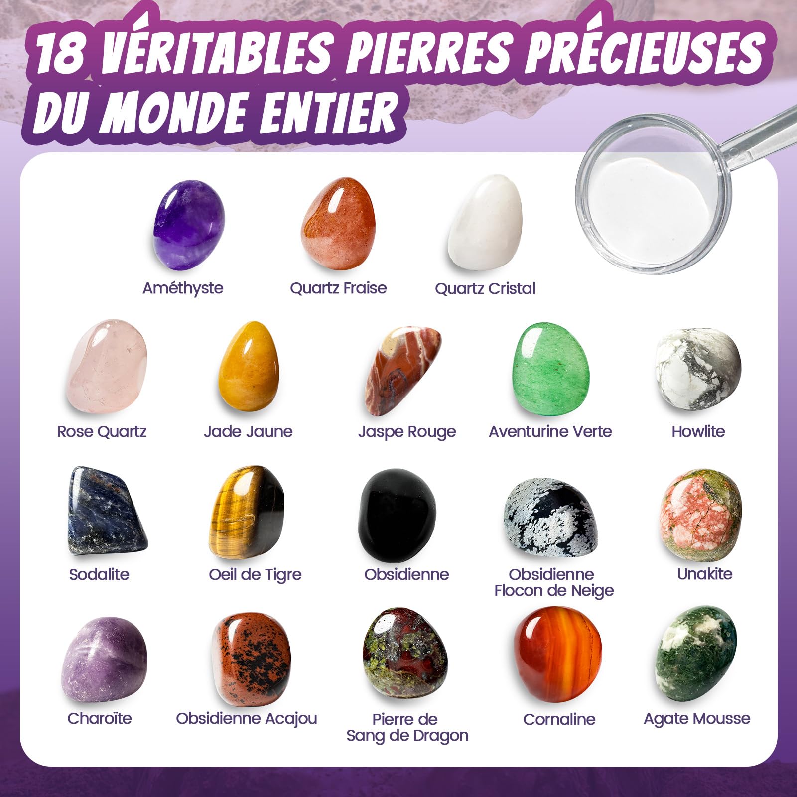 Kit de Fouille de Pierres Précieuses pour Enfants – 18 Cristaux, Minéraux et Roches Réels – Dès 8 Ans