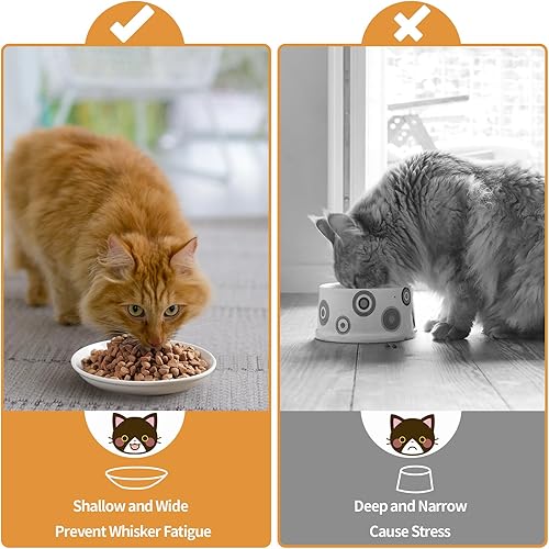 Miniatura 6 de Cuencos de cerámica para gatos de 5.9 pulgadas, platos anchos poco profundos, platos aptos para bigotes, cuenco de comida y agua para gatos de