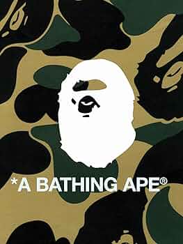 nigo bape apesounds rolexカバーcd +dvd nigo bape apesounds rolexカバーcd +dvd nigo bape apesounds
