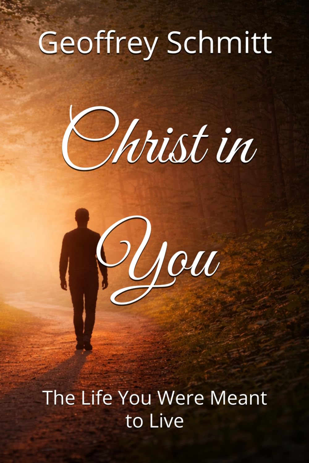 Christ in You: The Life You Were Meant to Live