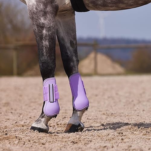 Miniatura 6 de HORZE Adepto - Botas de tendón frontal abierto, carcasa duradera con forro de neopreno, morado lavanda lánguida, caballo