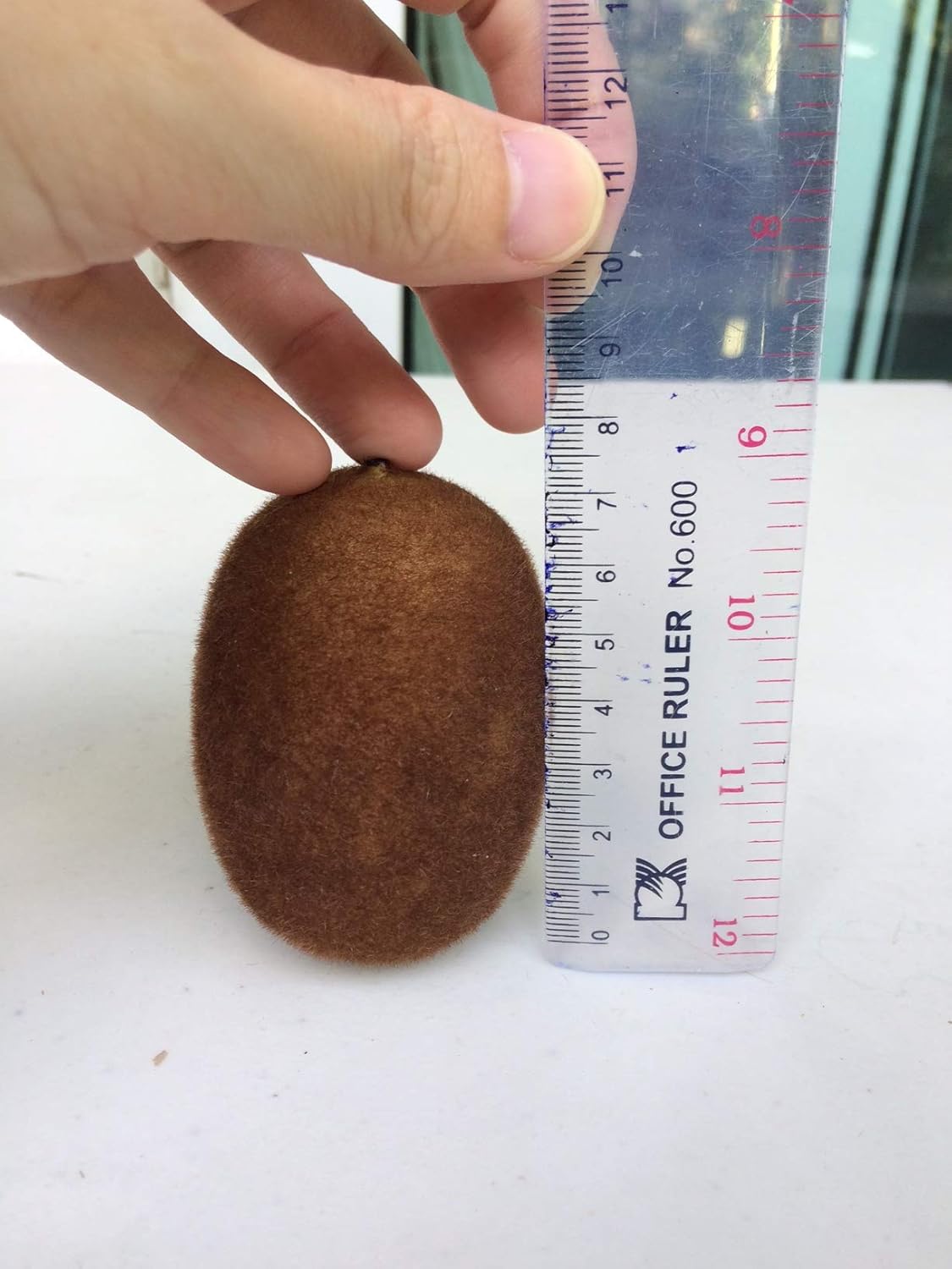 SAWADEE Artificial Kiwi Fake Fruit for Home Decor or Display (Pack of 3)