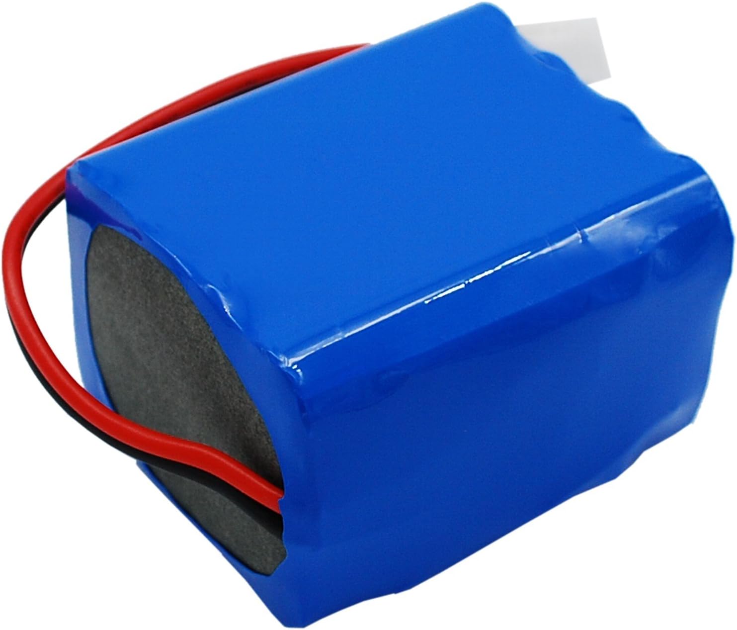 RWMM1800mAh Replacement Battery Compatible with RAYTOP LBP144