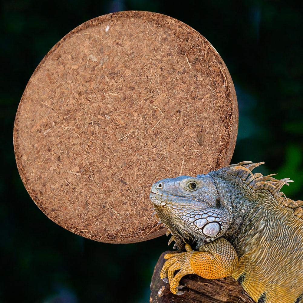 Zoo Med White Hermit Crab Sand 5 lbs - Pack of 6