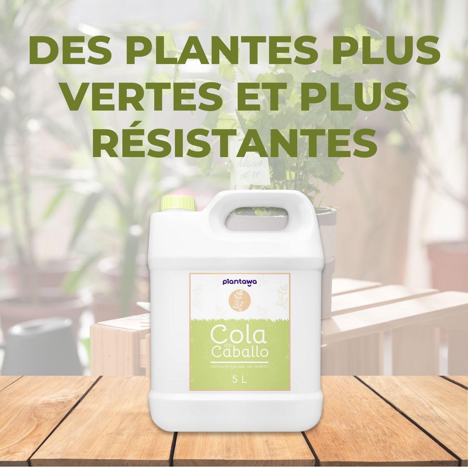 PLANTAWA Purin Prêle pour Plantes 5L | Biostimulant pour Plantes Renforcement des Plantes avec de la Silice et du Calcium | Lutte contre les Parasites et Champignons | Fongicide | 100% naturel