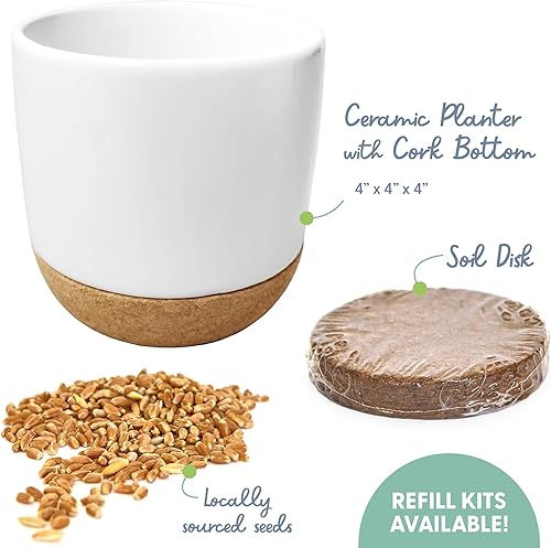 Miniatura 3 de The Cat Ladies Kit de hierba para gatos de interior con mezcla de semillas de hierba de gato orgánica, tierra y maceta de cerámica y corcho, remedio