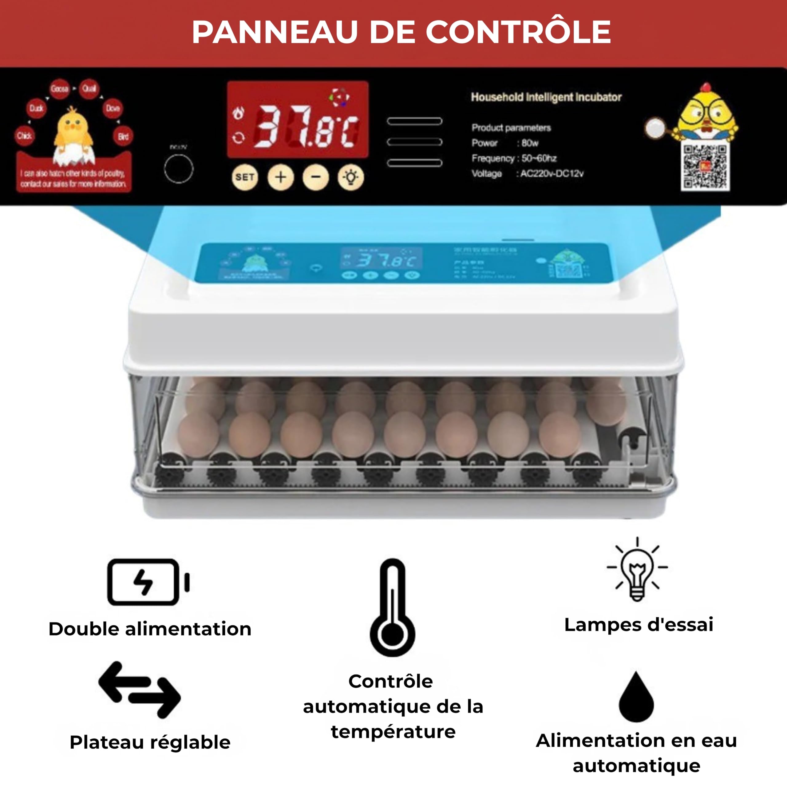 Arcanix Couveuse Oeuf Automatique Professionnelle 30 d'œufs poule ou 75 Œufs de Caille – Incubateur Œuf avec Volteo Rotation Contrôle de Température et Humidité Thermomètre et Hygromètre
