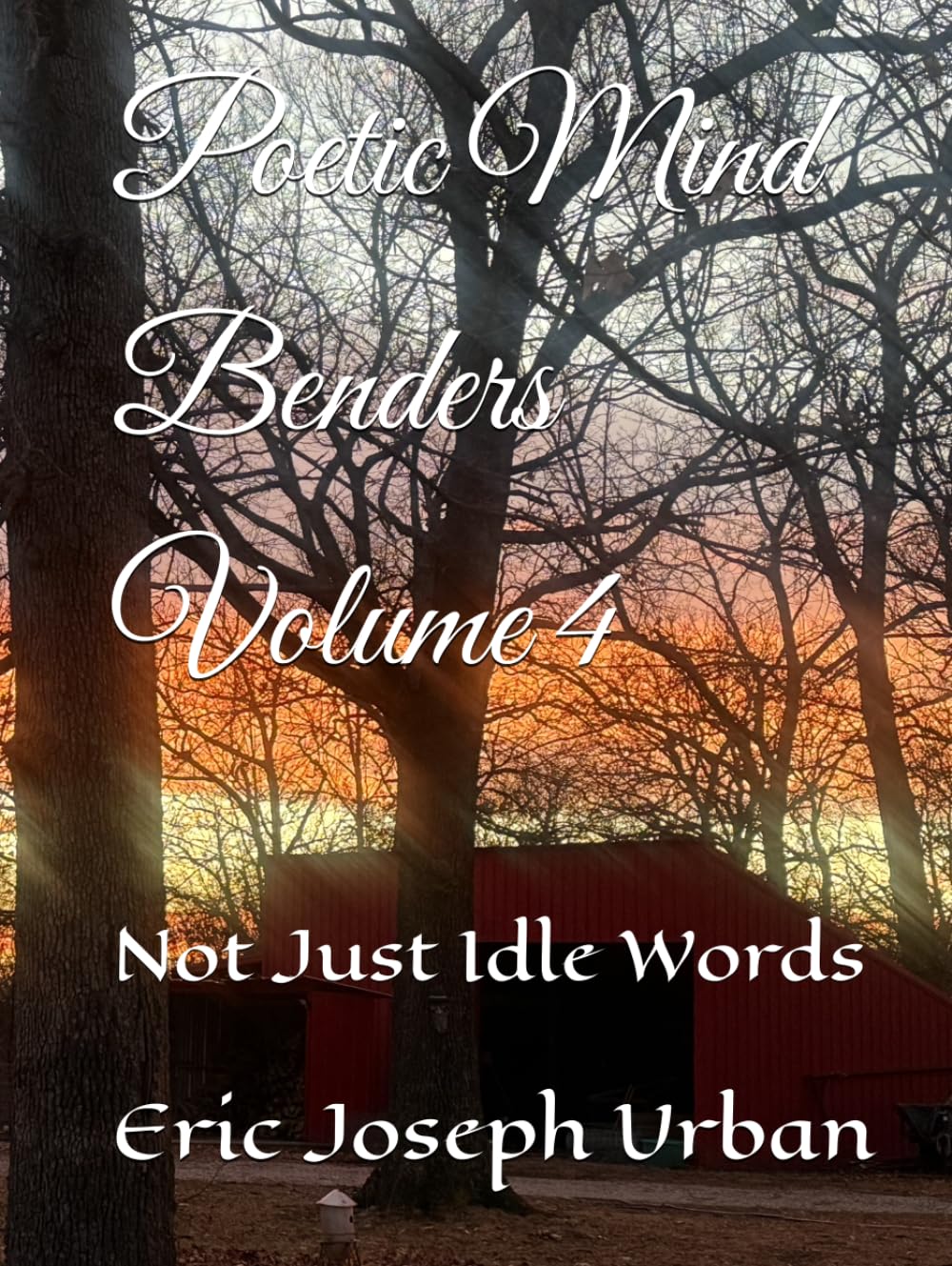 Poetic Mind Benders $: Not Just Idle Words