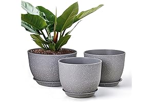 Lush Blooms - Indoor/Outdoor 10" Planter Pots