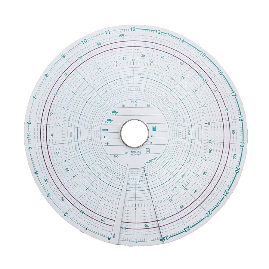 たまごプロフ必読 SM錦糸たまご（細切り） 500G: 畜産品 KANTO EXPRESS - 食空間