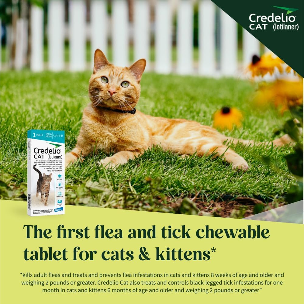Credelio CAT Flea & Tick Infestation Prevention and Treatment for Cats 4.1-17 lbs. | 1-Month Supply