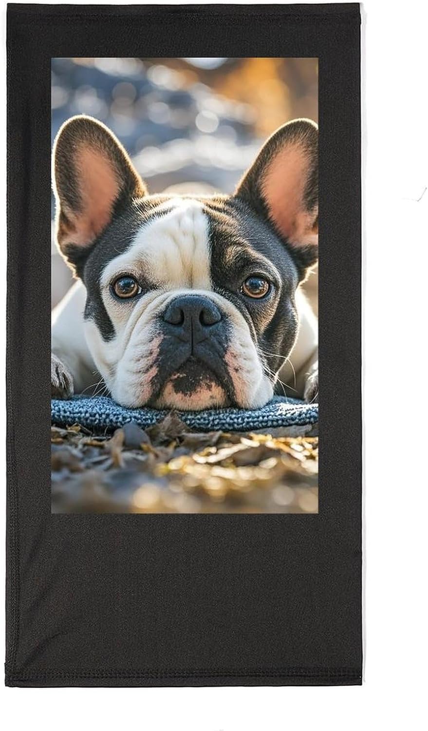 French Bulldog Dog Cute Neck Gaiter Face Mask UV Protection for Men Women, Breathable Quick Dry Face Cover Bandana Outdoor Sports Balaclava Wind-Proof for Hiking Skiing Motorcycle Cycling