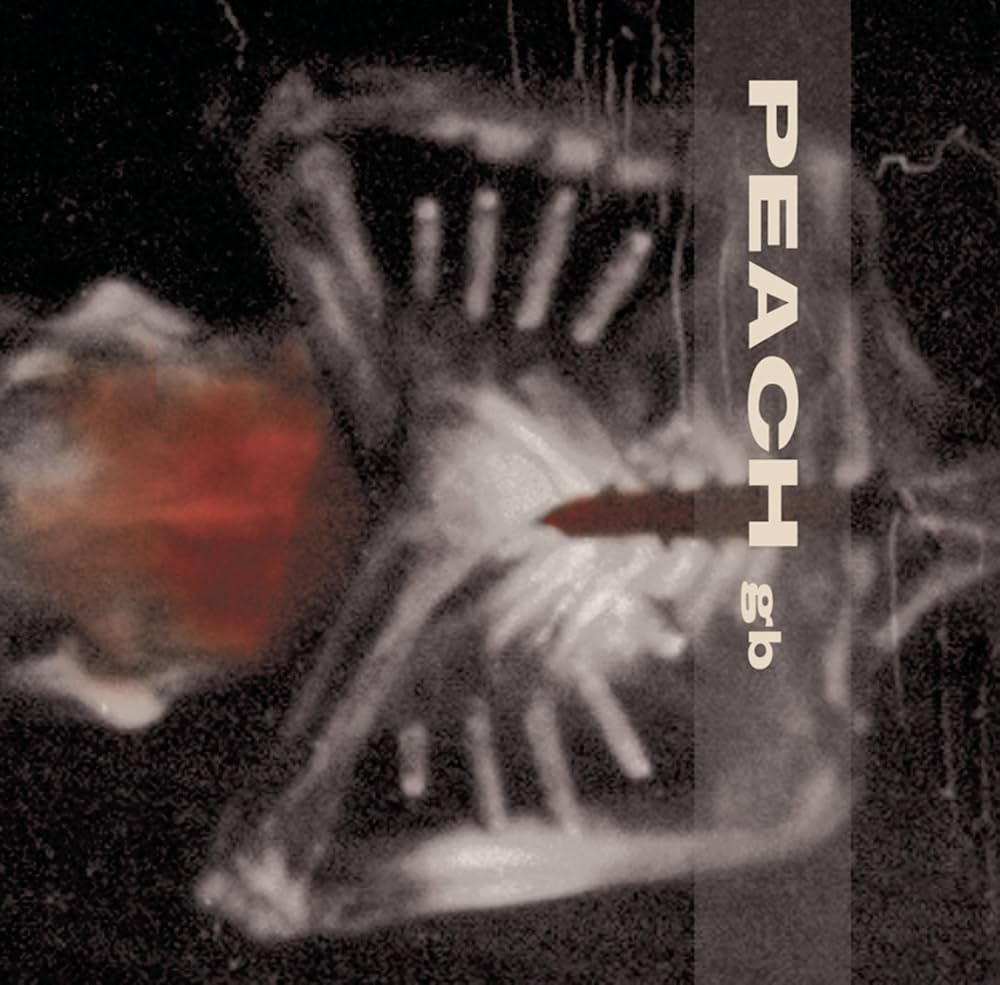 PEACH gb　GIVING BIRTH TO A STONE 718G4aS2RML._UF1000,1000_QL80_.jpg