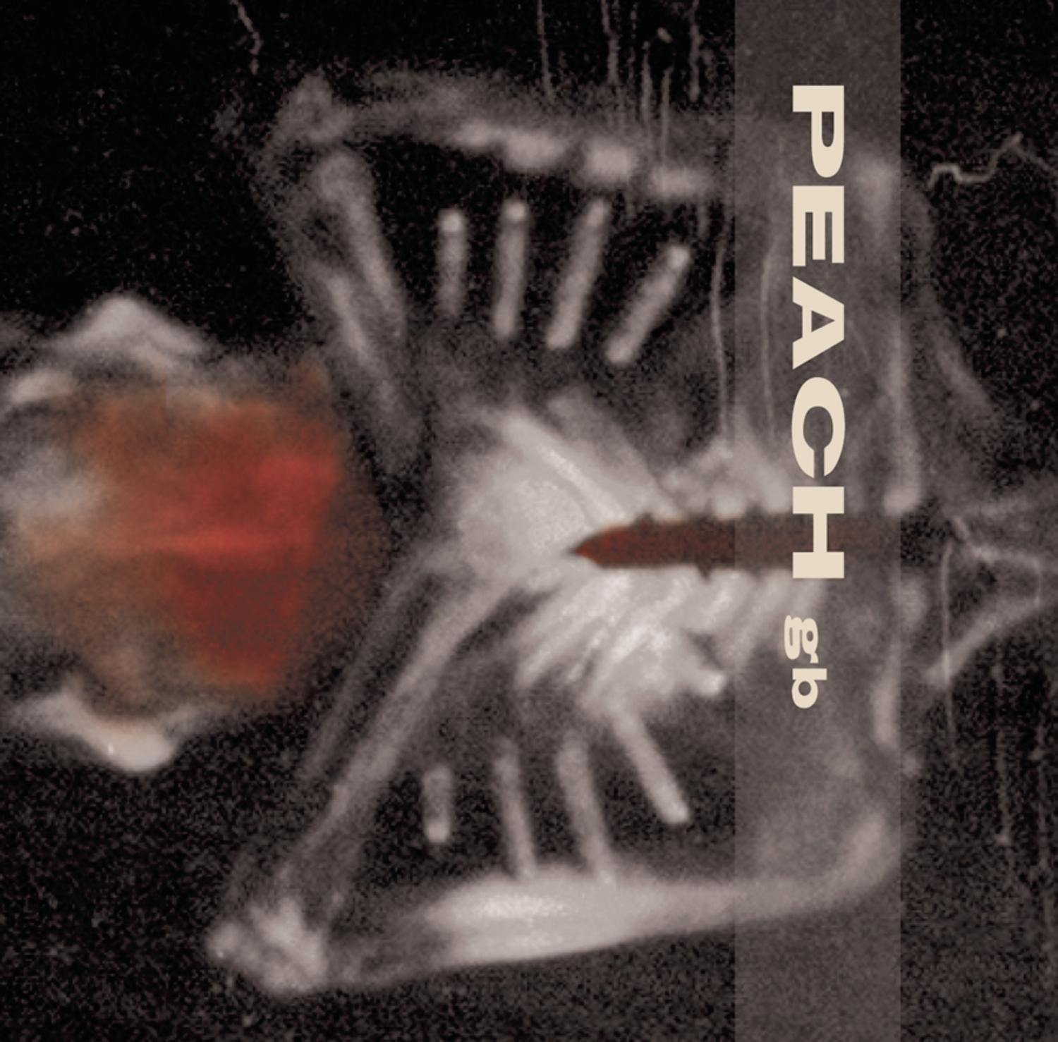 Giving Birth To A Stone [Audio CD] Peach, G.B. and Multi-Artistes
