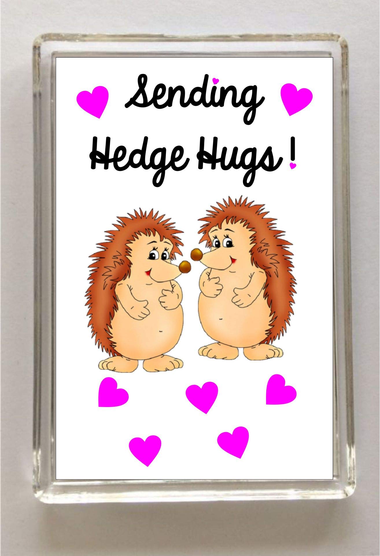 Decalarama Hedgehog Hug Fridge Magnet Gift, Sending Hedge Hugs, Positive Quote, Present Positive Friendship