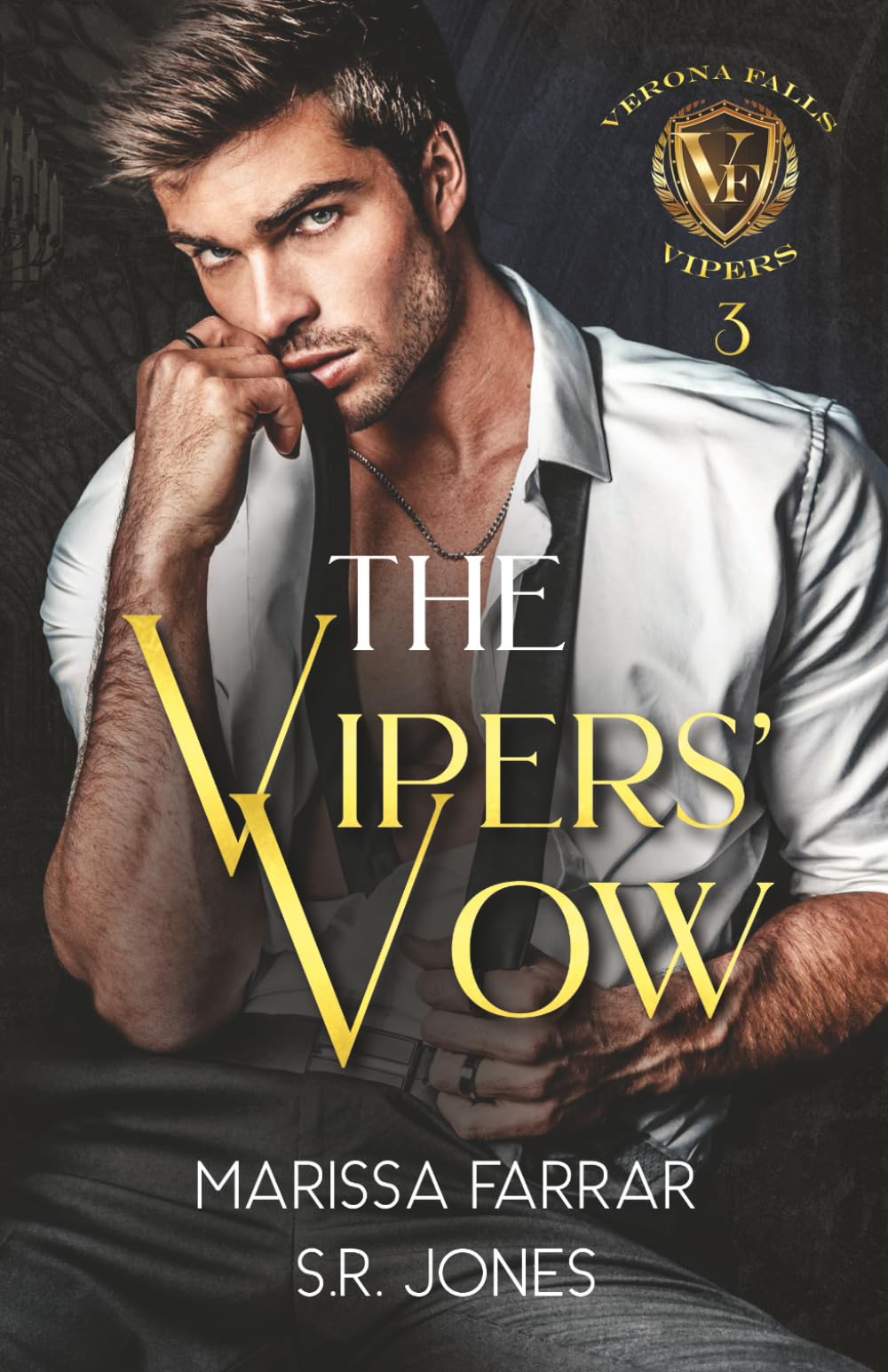 The Vipers' Vow: A Dark College Bully Romance: 3 (Verona Falls Vipers)
