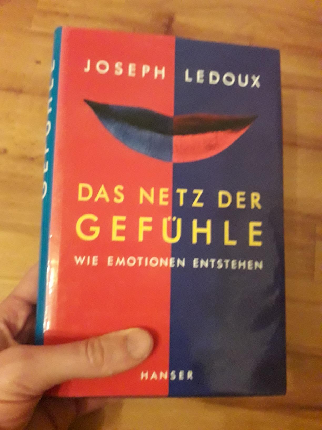 Das Netz Der Gefühle Wie Emotionen Entstehen Das Netz der Gefühle: Wie Emotionen entstehen (dtv Sachbuch) ( 1