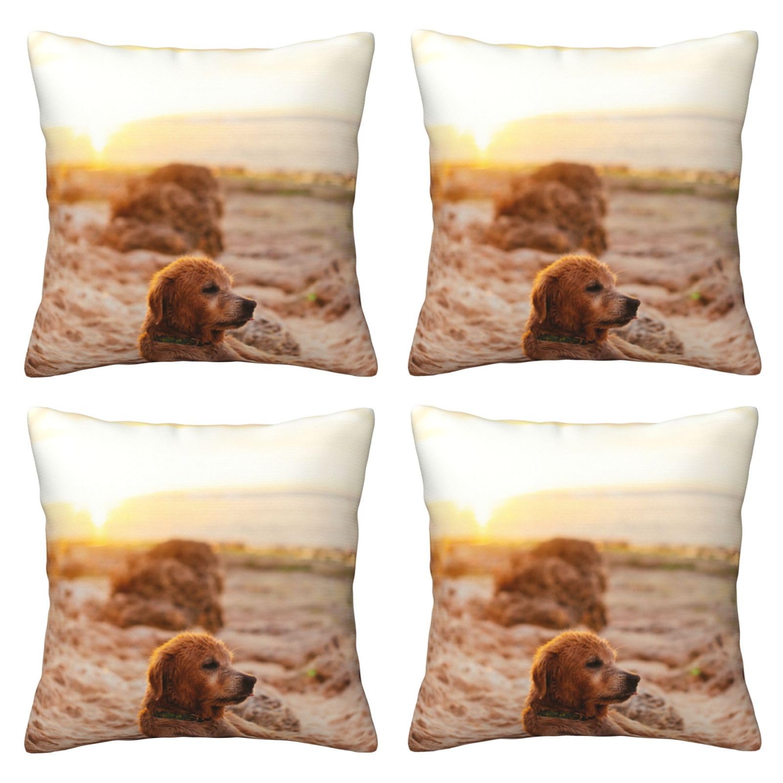 Housse de coussin Golden Retriever BAFAFA 50x50 cm pour salon
