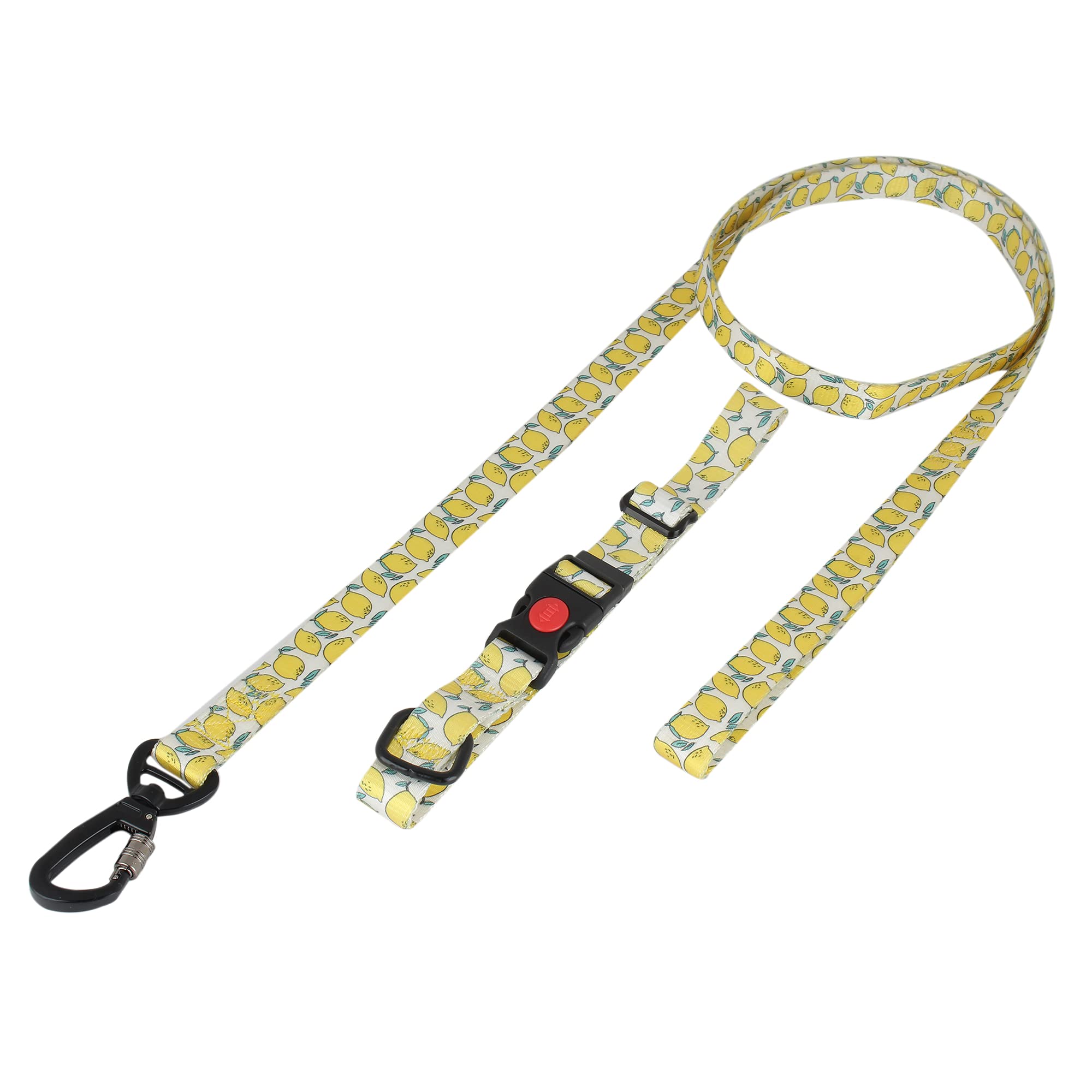 BLACK DOG Premium Adjustable Printed Nylon Collar and Leash Set for Dogs & Puppies, Suitable for 13kg-28kg for Adult Large Dogs (Size - 25mm Large) (B097YCV6S9) Amazon Price History, Amazon Price Tracker