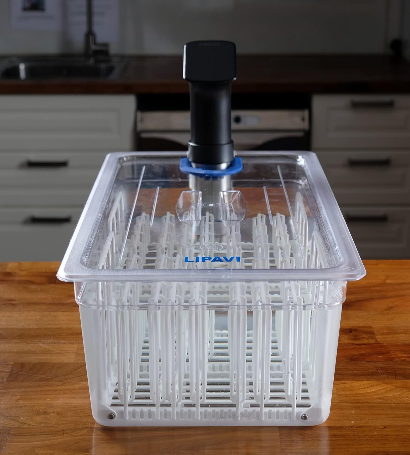 LIPAVI Sous Vide System - 18L container, Stainless Steel Rack and Universial lid included!