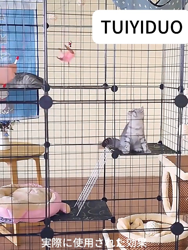 Amazon.co.jp: TUIYIDUO ペットケージ 大型キャットハウス 5 段・2 列