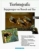 Tierfotografie - Fritz Pölking 