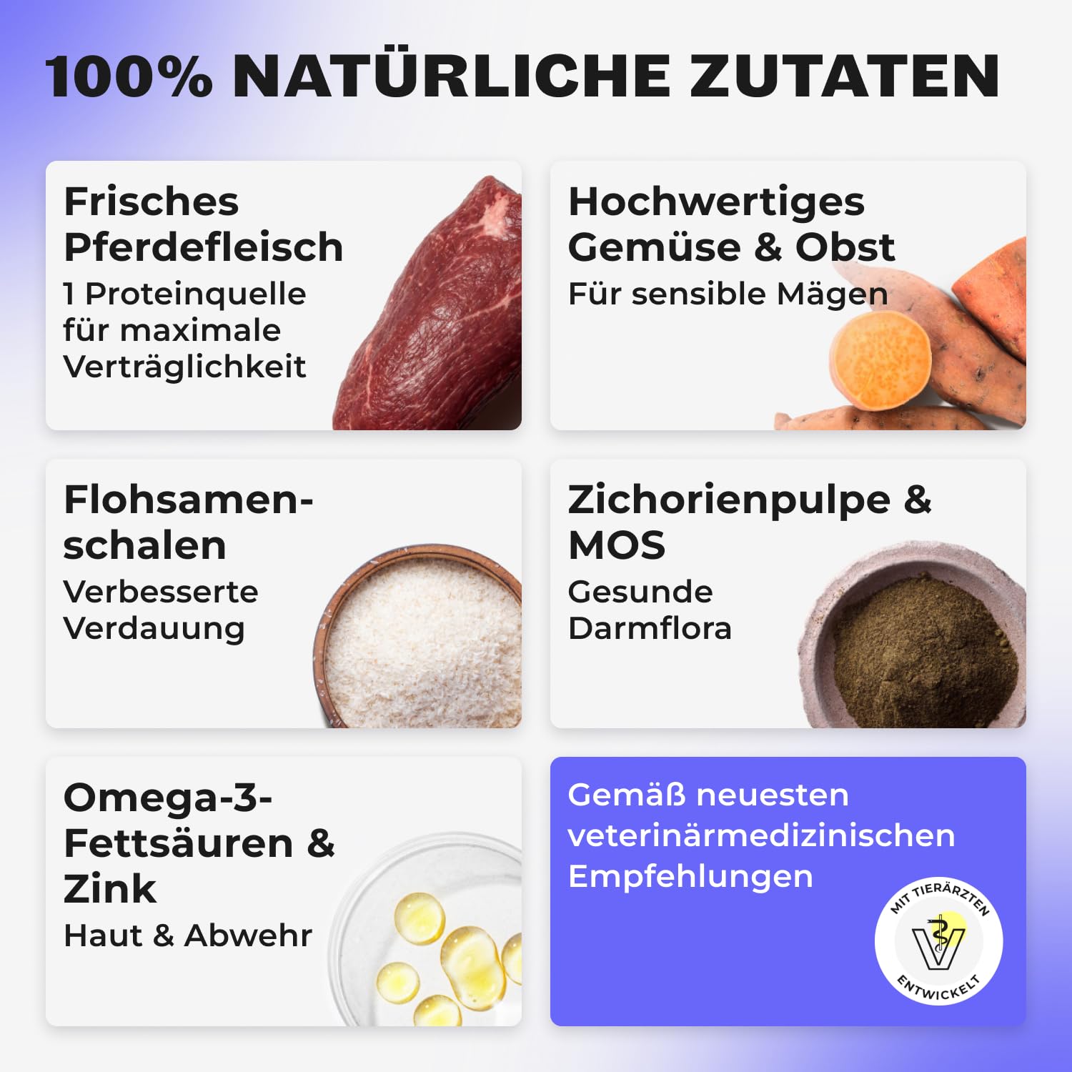 HEY HOLY Sensitives Hundefutter Pferd | Hypoallergenes, getreidefreies Hundefutter trocken für ernährungssensible Hunde | Maximale Verträglichkeit durch allergenreduzierte Rezeptur, natürliche Zutaten