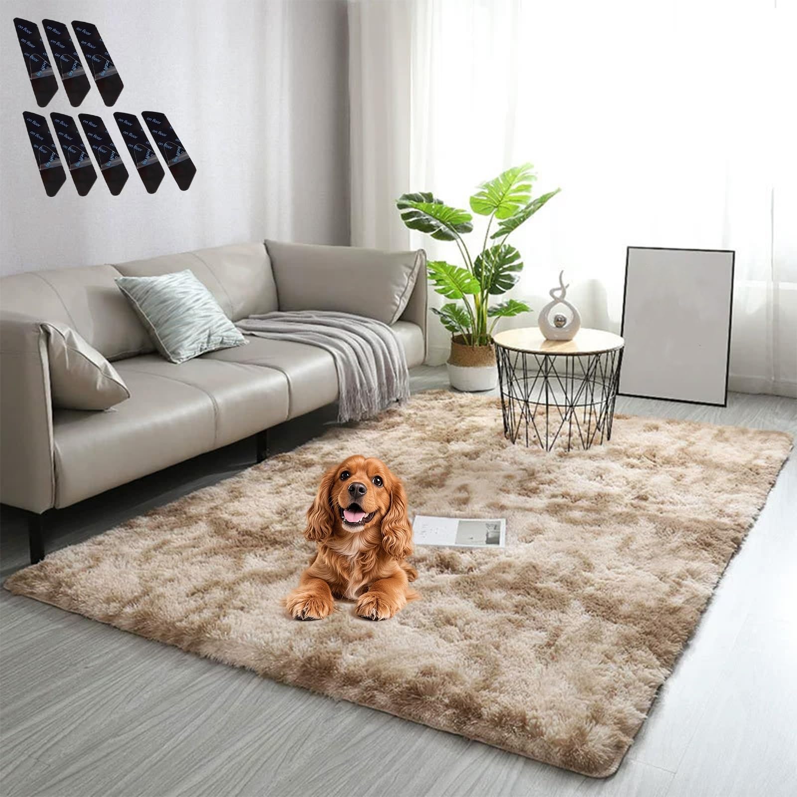 Liocwocne 2026 New Shaggy Rug, Gradient Color Plush Floor Mat, Ultra-Soft, Non-Slip & Machine Washable, Secure and Sturdier, Add Comfort to Your Home(D,100 * 160)