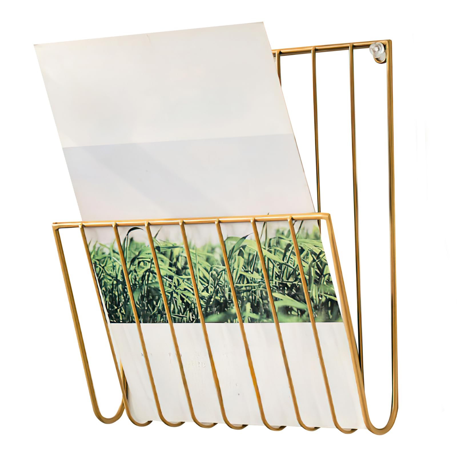 kumet Metal Wall Mounted File Organizer, Hanging File Holder with Hooks, Wall File Folder Rack for Home and Office Use (Gold)