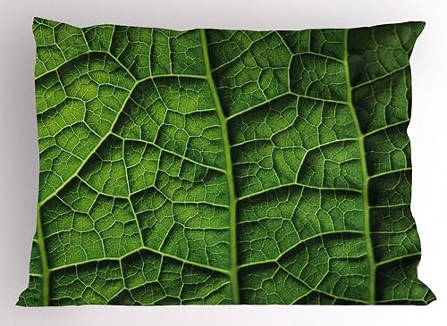 Miniatura 3 de Ambesonne Funda de almohada para guardería, animales de dibujos animados de elefantes amarillos y grises con diferentes patrones de fauna, funda de