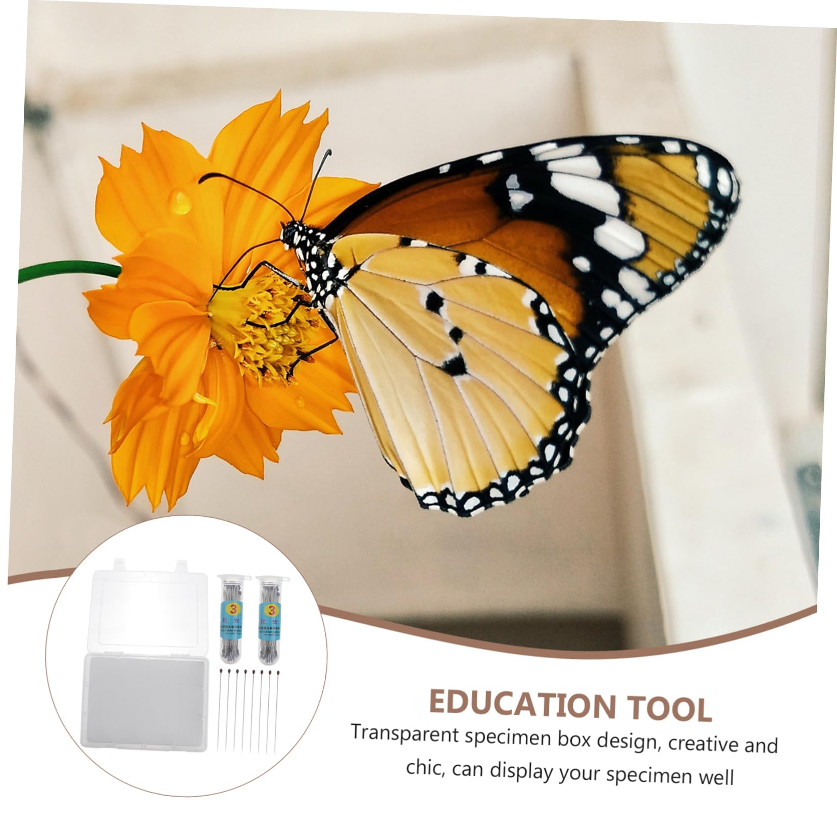 SOLUSTRE High Transparency Plant Specimen Box Portable Insect Display Case Needle for Education Tool