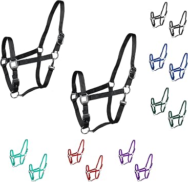 Majestic Ally Pack of 2 Adjustable Headcollar for Horses Adjustable Chin and Crown  Sewn-in Throat Snap Hook- Full Black, Full