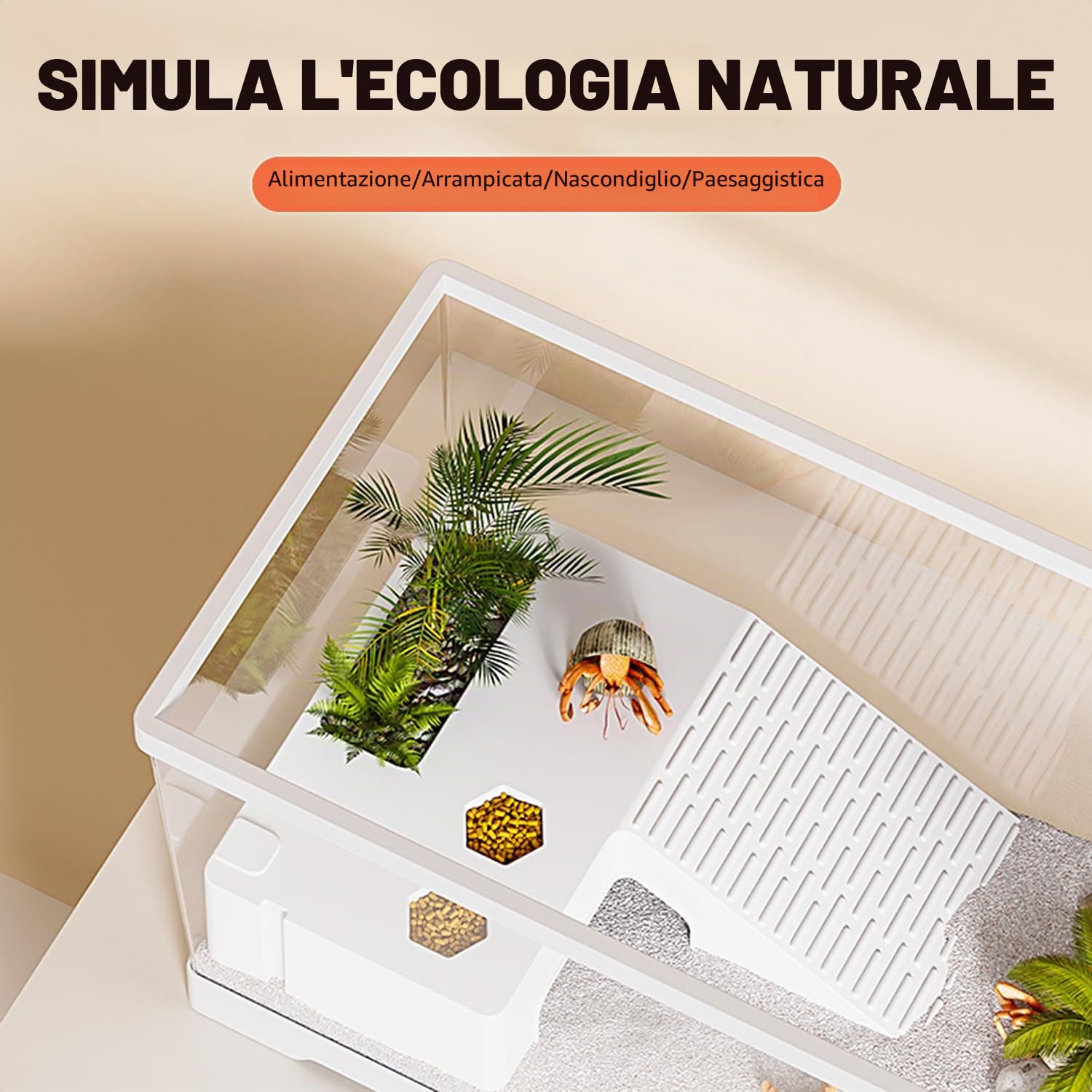 Turtle Fish Tank con piattaforma per crogiolarsi e drenaggio del fondo, 20 "x 9,5" x 9,5 "Acquario Turtle Tank per tartarughe giovani, gamberi, granchi, anfibi, rettili