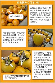 みいこ様~☆お得意様ご予約出品ページ渋柿15キロ Amazon.co.jp: 高知産シブ柿約15kg渋柿,しぶ柿 : 食品・飲料・お酒