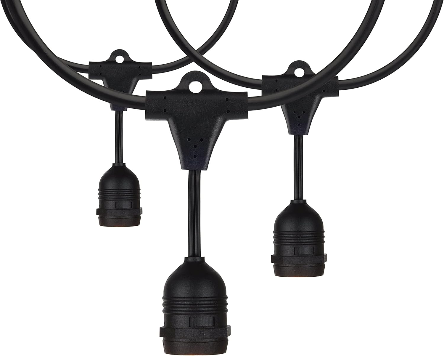 Satco S8039 Incandescent Indoor/Outdoor String Lights, Black, Bulbs Not Included, 24 Feet (Pack of 1)