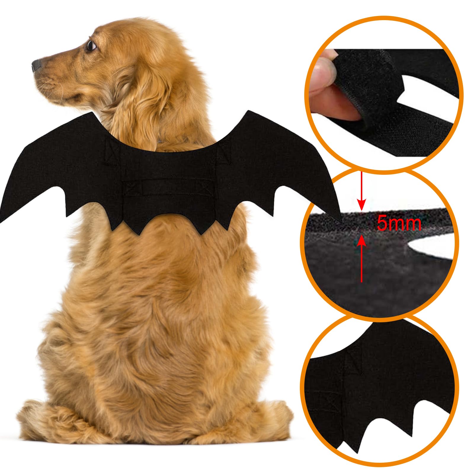 Haustier Fledermaus Kostüm Halloween - Mit Kürbisglocken Für Katzen Hunde