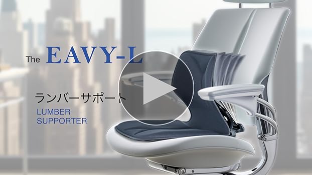 Amazon｜EAVY(イービー) ランバーサポート 骨盤矯正 姿勢矯正