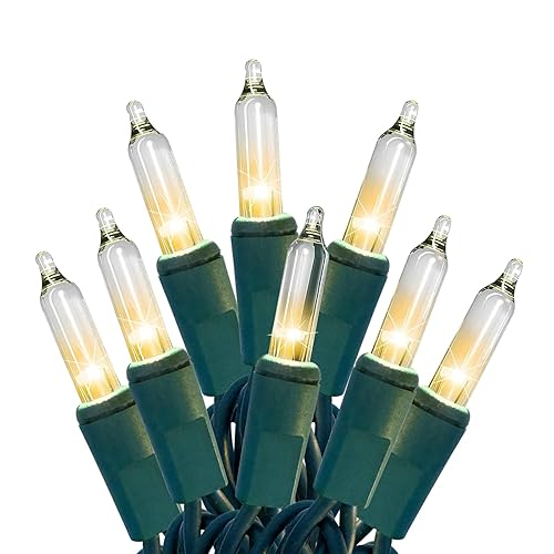 HISHINY Christmas Lights 100 Count Clear Christmas Tree String Lights