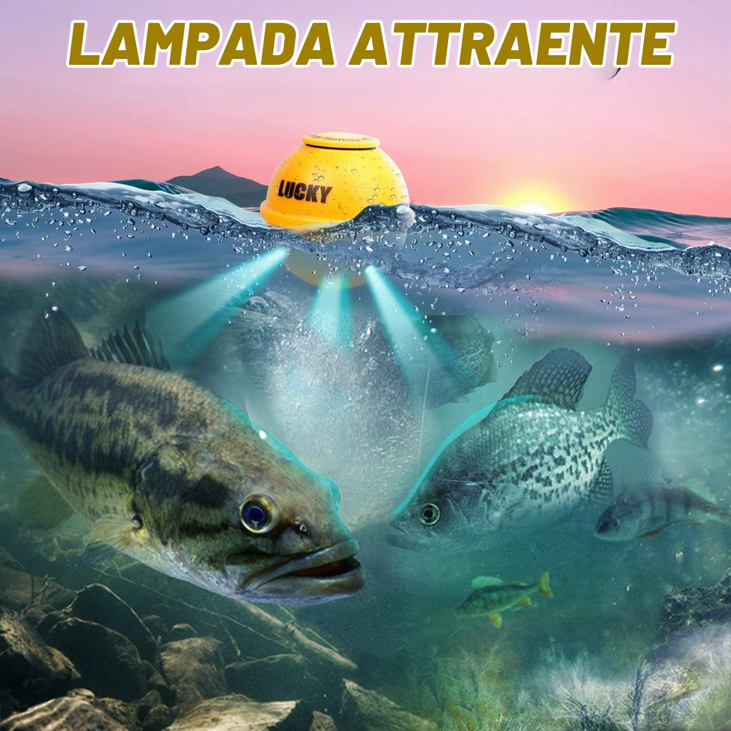 LUCKY Fishfinder Ecoscandaglio Portatile Ecoscandagli per la Pesca in profondità della Barca Palmare Impermeabile Senza Fili Trasduttore per Kayak da Pesca Rilevatori di profondità per Pesca
