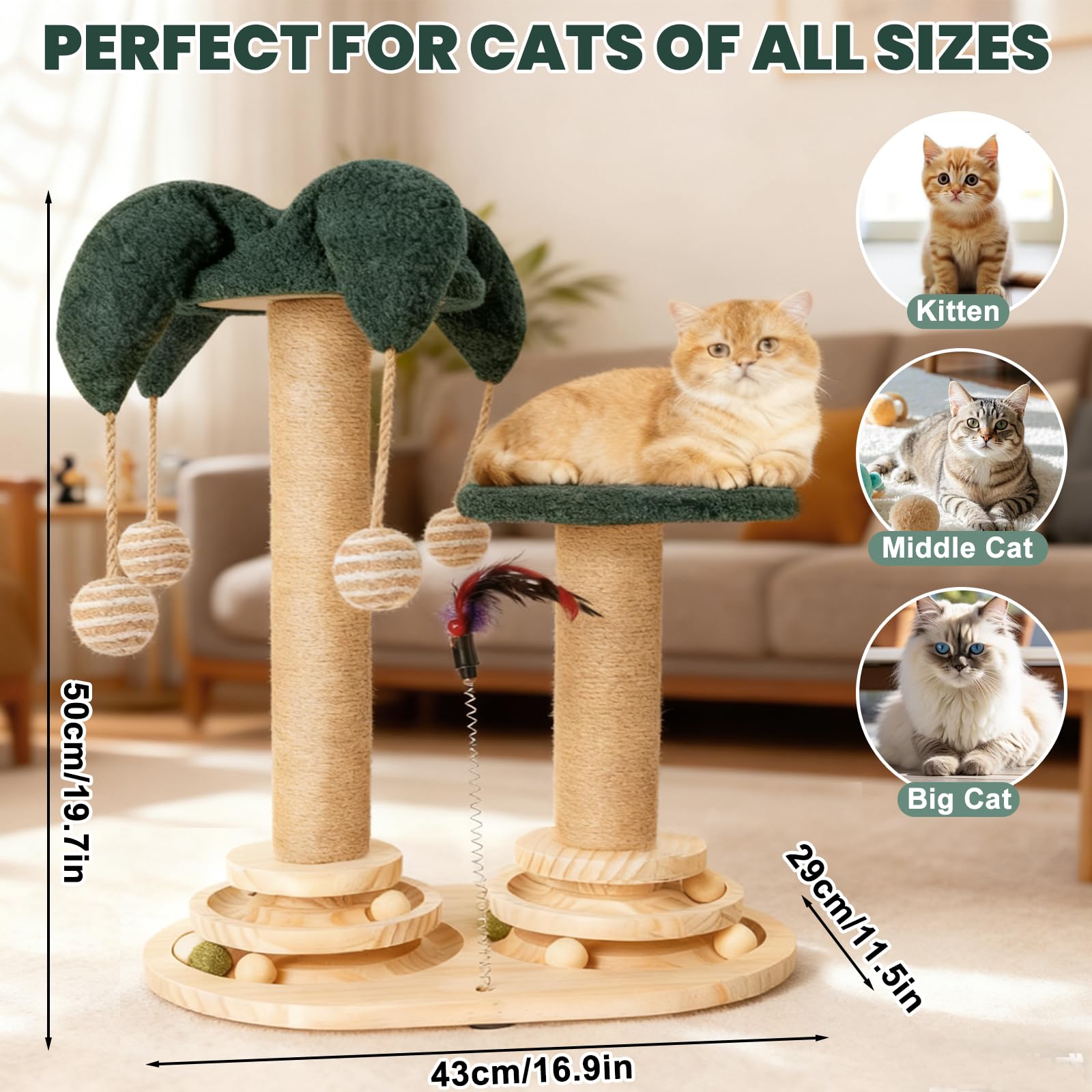6-in-1 Katzenspielzeug Selbstbeschäftigung Holz, Kratzspielzeug für Katzen, Spielzeug mit Katzenminze, Katzenmöbel mit Rotierende Kugelbahn, Federn, Bälle, Juteseile & Sisalseil, für kleine Katzen