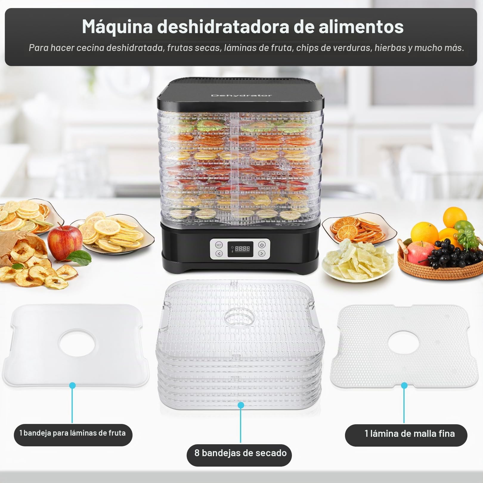 Nictemaw Deshidratador de frutas de acero inoxidable mini deshidratador de cocina con 8 compartimentos insertables, deshidratador con controlador de temperatura, 400W, 35-70°C, temporizador de 72h