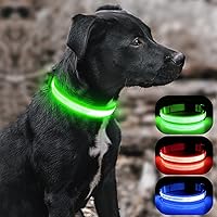 Vista 2 de BSEEN Collares iluminados para perros, collar recargable para cachorros, collar ajustable con brillo para perro, collar reflectante para mascotas