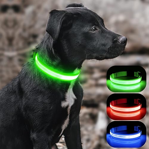 Miniatura 2 de BSEEN Collares iluminados para perros, collar recargable para cachorros, collar ajustable con brillo para perro, collar reflectante para mascotas,