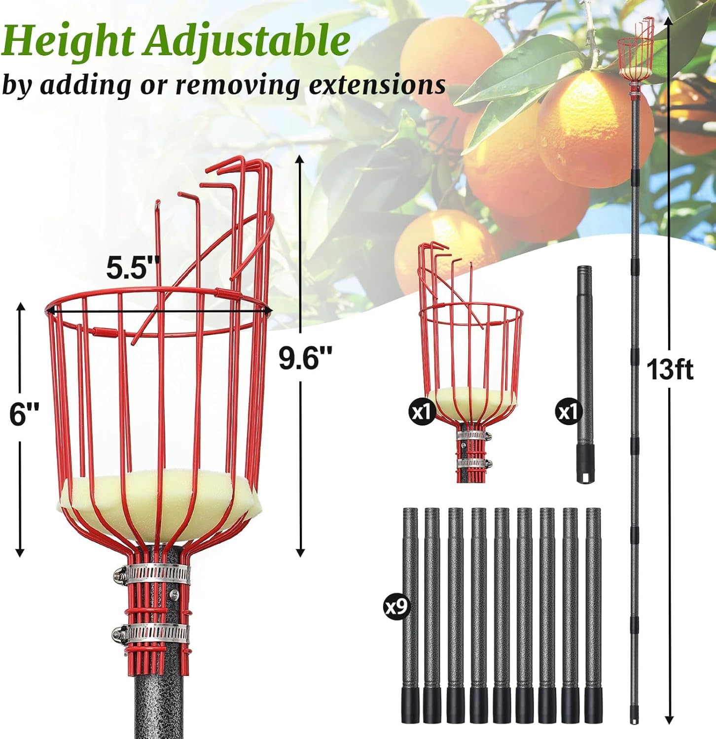 FLY HAWK Raccogli frutta con manico telescopico 5.5FT
