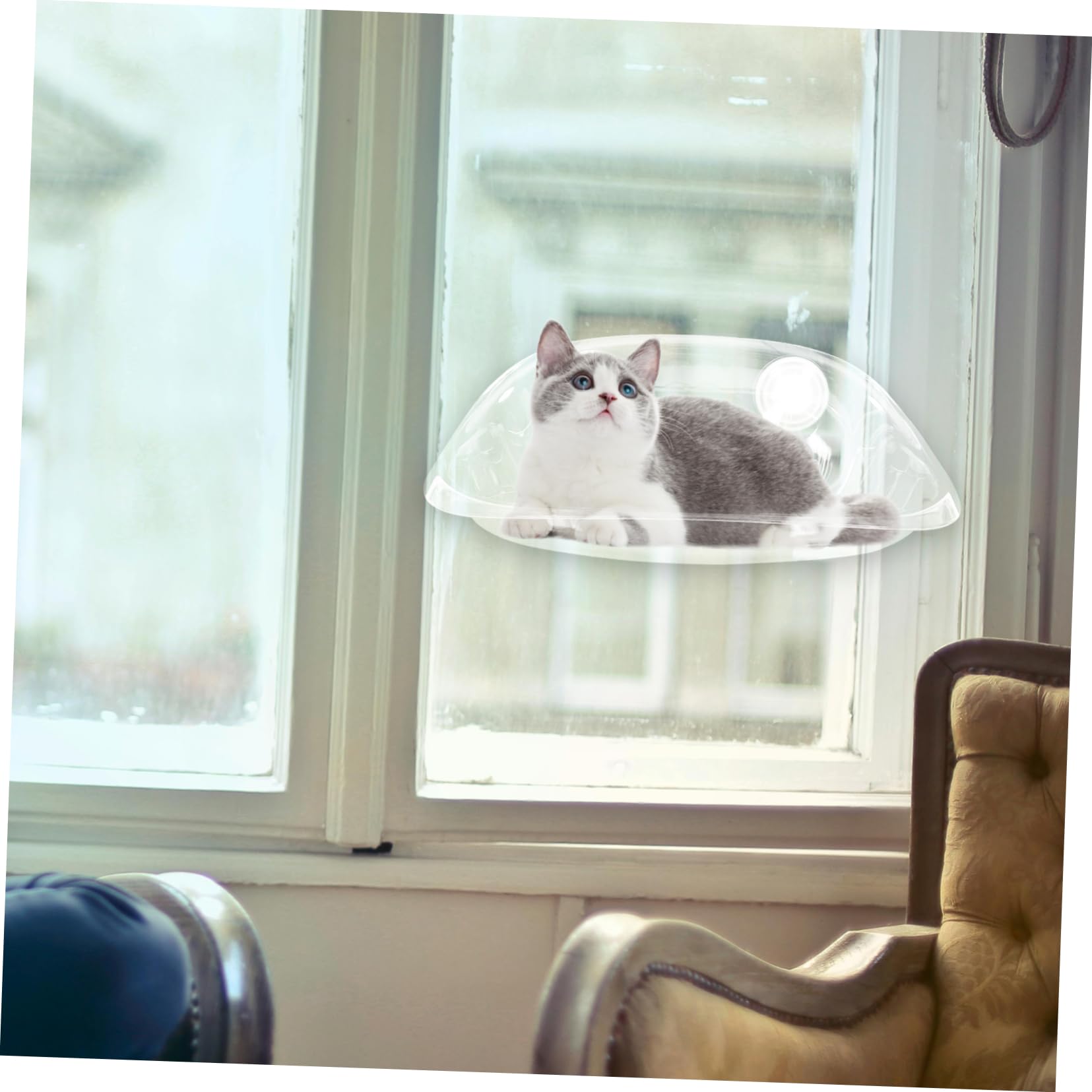 SOIMISS Katzenhängematte mit Saugnapf für Fenster Stabiles Hängebett aus As Material Platzsparend und Sicherer Schlafplatz für Katzen im Zimmer oder Am Fenster