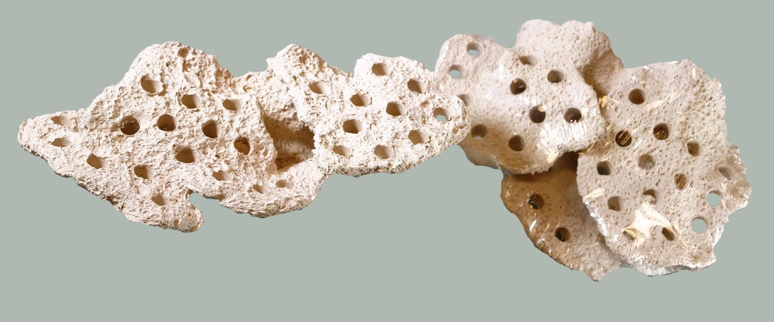 Alternative Reef Large Magnetic Frag Station